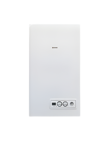 Beretta Caldaia A Camera Aperta Ciao LX 24 kW CAI Gpl o Metano