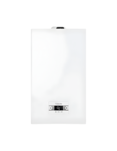 Beretta Caldaia a Condensazione BLR 25C Gpl o 30C Metano Low Nox Completa Di Kit Scarico Fumi