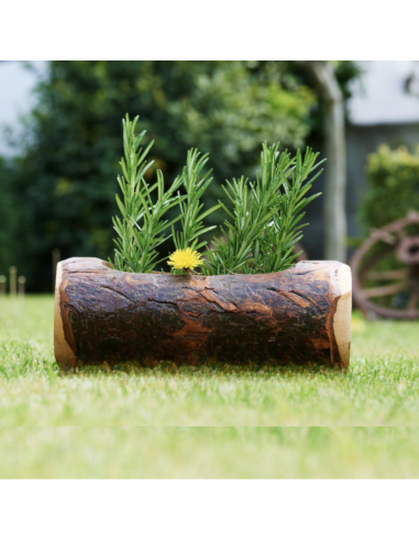 Fioriera in corteccia naturale ambientata