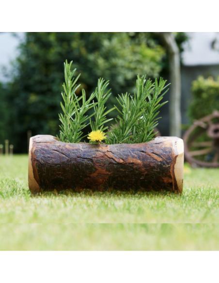 Fioriera in corteccia naturale ambientata