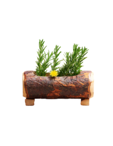 Fioriera in corteccia naturale