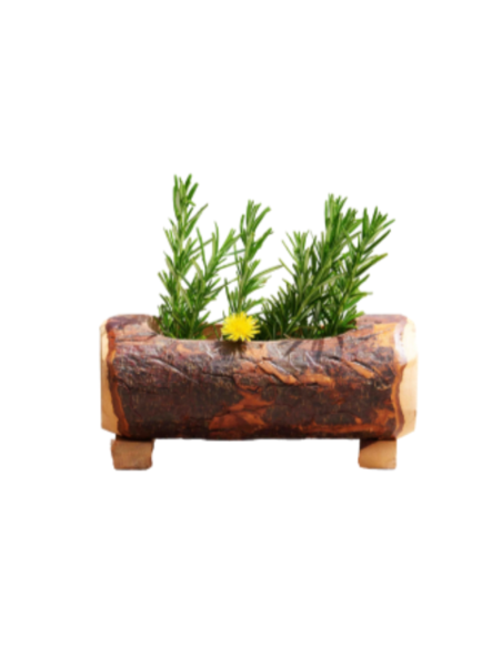 Fioriera in corteccia naturale