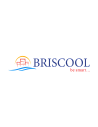 Briscool
