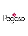 Pegaso
